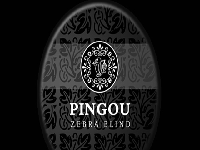 img-pingo.jpg
